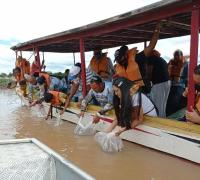 57 mil alevinos de espécie ameaçada de extinção foram introduzidos nos municípios de Bom Jesus da Lapa e de Xique-Xique