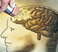 O medo da crítica e a perpetuação dos fanáticos políticos