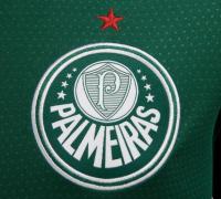 Um palmeirense comentando o Flamengo