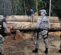 Governo autoriza Forças Armadas a combater desmatamento em Mato Grosso