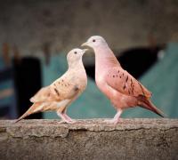 Quem não se posiciona, será posicionado