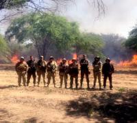 Polícia erradica 38 mil pés de maconha em diferentes municípios do interior do estado da Bahia