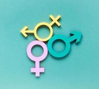 Todos, Todas e Todes