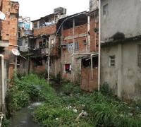 No Brasil, doenças e maus políticos não vêm e vão, e sim empacam e se perpetuam