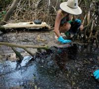Rio Pojuca é atingido por ao menos 800 kg de óleo