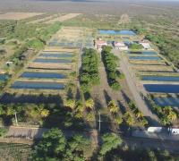 Codevasf moderniza estrutura do Centro Integrado de Recursos Pesqueiros e Aquicultura de Xique-Xique