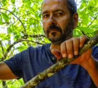 Lançamento da novela Renascer impulsiona economia cacaueira e turismo em Ilhéus