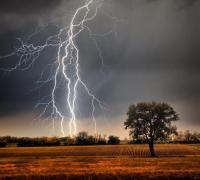 Gentio do Ouro: Forte chuva destelha casa e raio mata animais