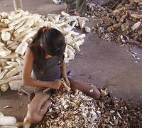 MPT lança plataforma com informações sobre trabalho infantil