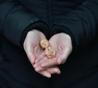 O modo assombrosamente execrável de extermínio do nascituro