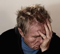 Cabeça de gente é terra que ninguém anda