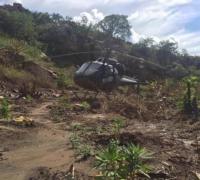Polícia Federal localiza 23 mil pés de maconha durante operação na Bahia; droga foi erradicada