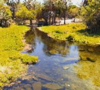 Futuro da energia: preservar nascentes para aumentar reservatórios