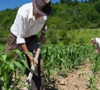 Governo disponibiliza mais de R$ 74 mi para pagamentos do Garantia-Safra