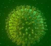 Covid-19: estudo diz que infectados podem gerar anticorpos permanentes