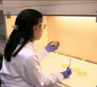 MEC corta mais de 5 mil bolsas e não irá financiar nenhum novo pesquisador neste ano