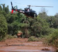 Rio Paraopeba tem nível de metais 600 vezes maior que o permitido