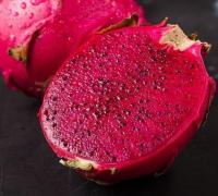 Pitaya é produzida no município de Presidente Dutra (BA); fruta é rica em vitaminas C, D, complexo B e minerais