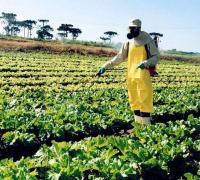 Mais de 40 mil foram intoxicadas com agrotóxicos no país nos últimos 12 anos