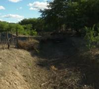 Rio passa por seca no sertão da Bahia com perfuração de poços e barragens irregulares