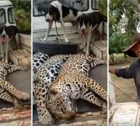 Homem usa a internet para 