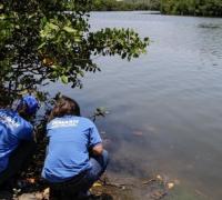 Lauro de Freitas: Manchas de óleo aparecem na foz do Rio Joanes