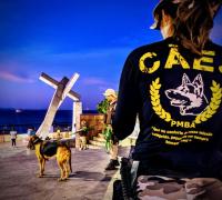 Cães são treinados para encontrar criminosos através do cheiro