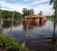 Gentio do Ouro: Famílias serão retiradas de casas por causa da cheia do rio São Francisco