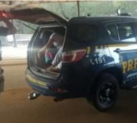 Mulher é detida com 2 mil diamantes na calcinha