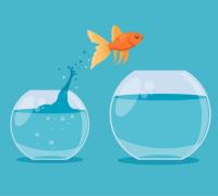 Armadilha da motivação