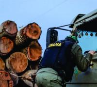 Servidores do Ibama prometem suspender fiscalização ambiental