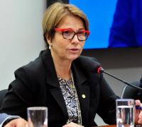 Ministra vem a Bahia para tratar do cacau. 