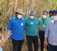 Barra: Petrobahia pode armazenar e distribuir etanol no Polo Agroindustrial do Médio São Francisco; mais de 200 empregos devem ser gerados