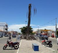 Parte de tamareira cai em principal avenida de Xique-Xique