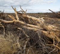 Comunidades tradicionais ameaçadas por projeto da Codevasf