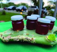 Planta típica da Caatinga surpreende em receitas de geleias