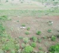 Plantação com 80 mil pés de maconha é achada e 2 suspeitos de tráfico morrem em confronto com PMs após denúncia na BA