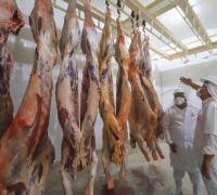 Frigorífico de Irecê tem operação iniciada