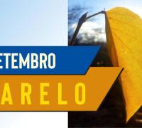 Suicídio causou mais mortes em policiais do que confronto com crime