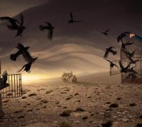 E essa tal liberdade?