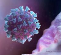 Estudo diz que vacina usada no Japão imuniza contra variantes