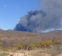 Ipupiara: Queimada atinge vegetação de serras do município