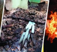 Comunidade de Lúna pode ter sido vítima de incêndio criminoso