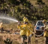 ICMBio abre processo seletivo com 42 vagas na Bahia