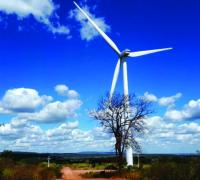 Contratos de eólicas no Nordeste têm cláusulas abusivas e concentram terras nas mãos de empresas, aponta estudo