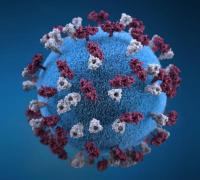 Gentio do Ouro registra novos casos de Covid-19