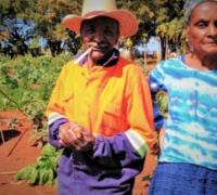 Famílias de quilombo em Morro do Chapéu são afetadas com pesticidas lançados em monocultivos