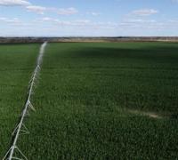 Barra: Produtores de SP e PE devem investir no Polo Agroindustrial do Médio São Francisco