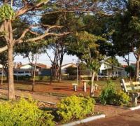 Médico do interior de SP doa muda de árvore para cada parto que faz