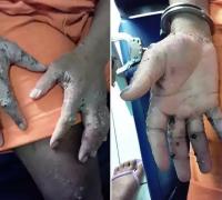 Detentos estão sendo 